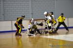 Photo hockey reportage N2 : Les Griffons larges vainqueurs