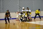 Photo hockey reportage N2 : Les Griffons larges vainqueurs