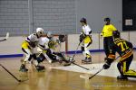 Photo hockey reportage N2 : Les Griffons larges vainqueurs