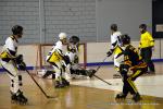 Photo hockey reportage N2 : Les Griffons larges vainqueurs