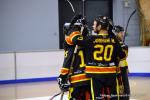 Photo hockey reportage N2 : Les Griffons larges vainqueurs