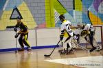 Photo hockey reportage N2 : Les Griffons larges vainqueurs