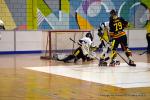 Photo hockey reportage N2 : Les Griffons larges vainqueurs