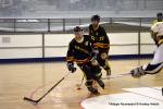 Photo hockey reportage N2 : Les Griffons larges vainqueurs