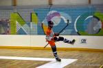 Photo hockey reportage N2 : Sanglants tigres !