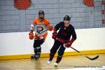 Photo hockey reportage N2 : Sanglants tigres !