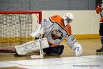 Photo hockey reportage N2 : Sanglants tigres !