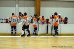 Photo hockey reportage N2 : Sanglants tigres !