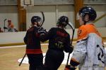 Photo hockey reportage N2 : Sanglants tigres !