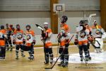 Photo hockey reportage N2 : Sanglants tigres !