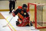 Photo hockey reportage N2 : Un maintien acquis avec panache