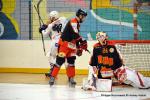 Photo hockey reportage N2 : Une faim de loup