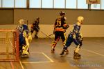 Photo hockey reportage N2 1/4 : Besanon dmarre bien