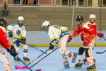 Photo hockey reportage N3 : Villard Bonnot B vs Aix en provence