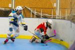 Photo hockey reportage N3 : Villard Bonnot B vs Aix en provence