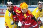 Photo hockey reportage NLA: Lausanne confirme sa bonne prestation de la veille