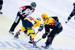 Photo hockey reportage NLB: Le HC Red Ice dune courte tte