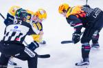 Photo hockey reportage NLB: Le HC Red Ice dune courte tte