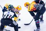 Photo hockey reportage NLB: Le HC Red Ice dune courte tte