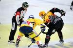 Photo hockey reportage NLB: Le HC Red Ice dune courte tte