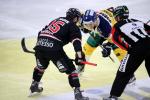 Photo hockey reportage NLB: Le HC Red Ice dune courte tte