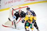 Photo hockey reportage NLB: Le HC Red Ice dune courte tte