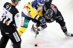 Photo hockey reportage NLB: Le HC Red Ice dune courte tte