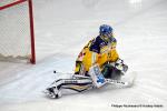 Photo hockey reportage NLB: Le HC Red Ice dune courte tte