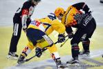 Photo hockey reportage NLB: Le HC Red Ice dune courte tte