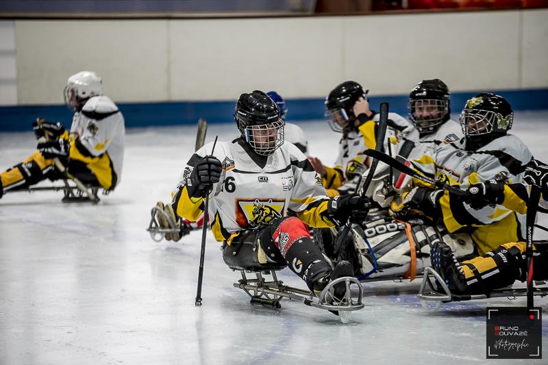 Photo hockey reportage Para Hockey