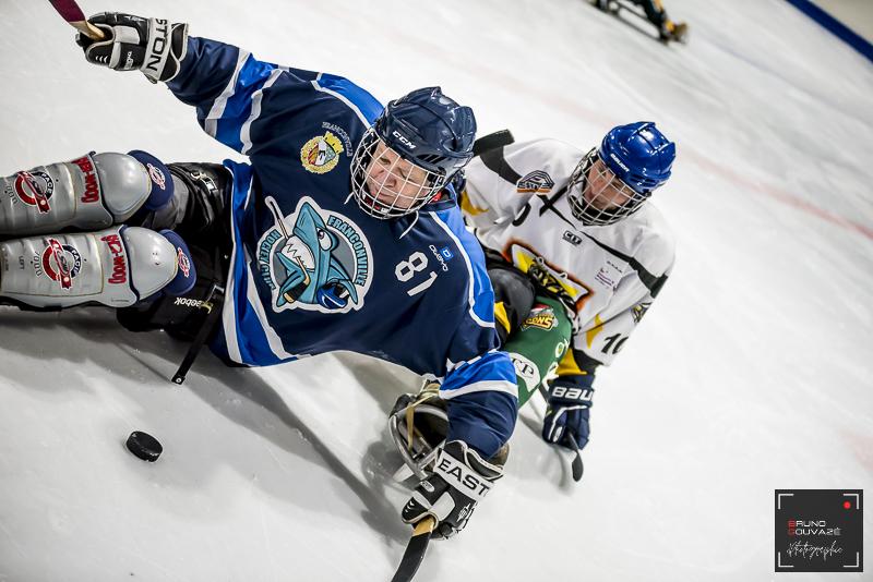 Photo hockey reportage Para Hockey