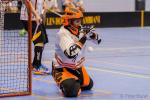 Photo hockey reportage Play-offs Kick-off : one more step to the Final