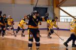 Photo hockey reportage Playoffs N2 : Angers et Besanon sont bons