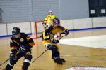 Photo hockey reportage Playoffs N2 : Angers et Besanon sont bons