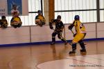 Photo hockey reportage Playoffs N2 : Angers et Besanon sont bons