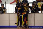 Photo hockey reportage Playoffs N2 : Angers et Besanon sont bons