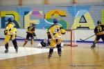 Photo hockey reportage Playoffs N2 : Angers et Besanon sont bons