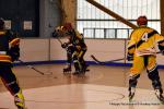 Photo hockey reportage Playoffs N2 : Angers et Besanon sont bons