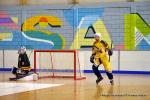 Photo hockey reportage Playoffs N2 : Angers et Besanon sont bons