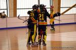 Photo hockey reportage Playoffs N2 : Angers et Besanon sont bons