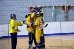 Photo hockey reportage Playoffs N2 : Angers et Besanon sont bons