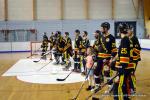 Photo hockey reportage Playoffs N2 : Angers et Besanon sont bons