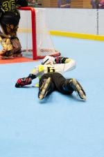 Photo hockey reportage Roller - All star Fminin : Nord vs Sud