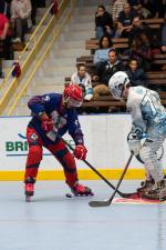 Photo hockey reportage Roller hockey : Grenoble - Villeneuve