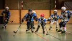 Photo hockey reportage Roller-hockey N3 : UNE PREMIERE EN CORSE