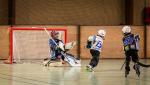 Photo hockey reportage Roller-hockey N3 : UNE PREMIERE EN CORSE