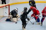 Photo hockey reportage Roller N2 - Grenoble vs Lyon