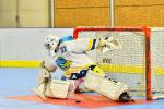 Photo hockey reportage Roller N3 - Villard Bonnot - Strasbourg