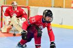 Photo hockey reportage Roller N3 - Villard Bonnot - Strasbourg