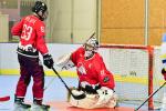 Photo hockey reportage Roller N3 - Villard Bonnot - Strasbourg